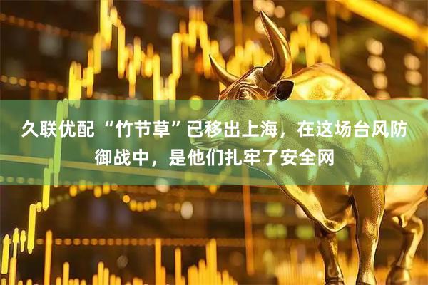 久联优配 “竹节草”已移出上海，在这场台风防御战中，是他们扎牢了安全网