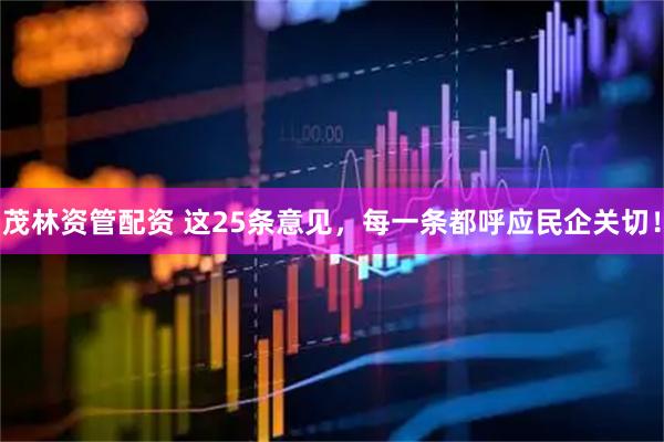 茂林资管配资 这25条意见，每一条都呼应民企关切！