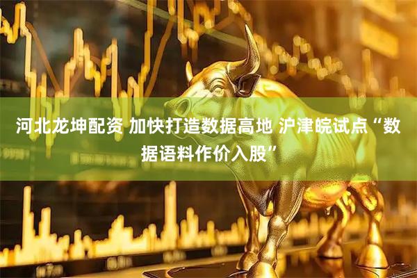 河北龙坤配资 加快打造数据高地 沪津皖试点“数据语料作价入股”