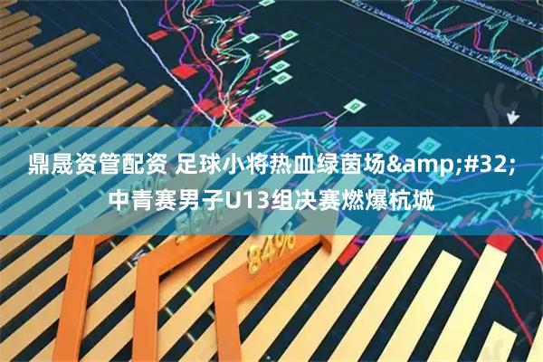 鼎晟资管配资 足球小将热血绿茵场 中青赛男子U13组决赛燃爆杭城