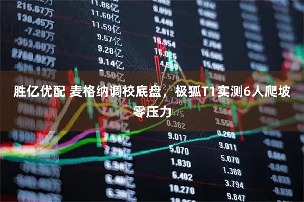 胜亿优配 麦格纳调校底盘，极狐T1实测6人爬坡零压力