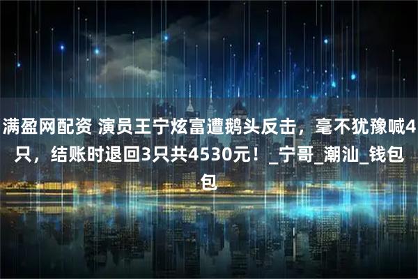 满盈网配资 演员王宁炫富遭鹅头反击，毫不犹豫喊4只，结账时退回3只共4530元！_宁哥_潮汕_钱包