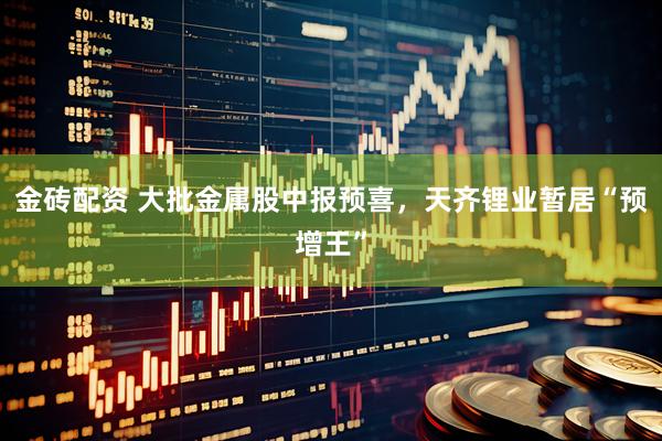 金砖配资 大批金属股中报预喜，天齐锂业暂居“预增王”